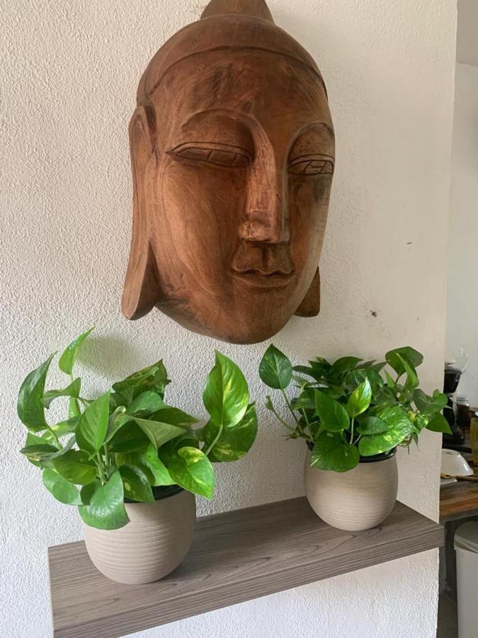 Casa Candra サン・フランシスコ エクステリア 写真